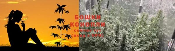 соль ск Верхний Тагил