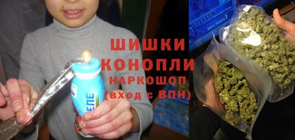 спайс Богданович
